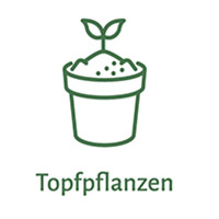 Icon Topfpflanzen