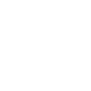 Pressgold-Logo-weiss_300px